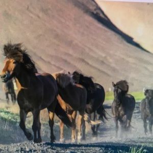 Meet your Posher, Lawrence